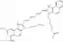 Fig. 63 - CHLOROTOXIN CONJUGATES AND METHODS OF USE THEREOF
