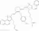 Fig. 643 - CHLOROTOXIN CONJUGATES AND METHODS OF USE THEREOF