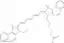 Fig. 696 - CHLOROTOXIN CONJUGATES AND METHODS OF USE THEREOF