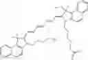 Fig. 71 - CHLOROTOXIN CONJUGATES AND METHODS OF USE THEREOF