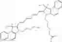Fig. 72 - CHLOROTOXIN CONJUGATES AND METHODS OF USE THEREOF