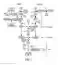 Fig. 02 - Method of inhibiting C5 cleavage