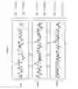 Fig. 03 - Codon optimized IL-15 and IL-15R-alpha genes for expression in mammalian cells