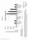 Fig. 11 - Codon optimized IL-15 and IL-15R-alpha genes for expression in mammalian cells