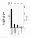 Fig. 40 - Codon optimized IL-15 and IL-15R-alpha genes for expression in mammalian cells