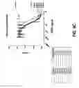 Fig. 10 - COMPOSITIONS AND METHODS OF TREATING DISEASE WITH FGFR FUSION PROTEINS