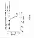 Fig. 15 - COMPOSITIONS AND METHODS OF TREATING DISEASE WITH FGFR FUSION PROTEINS