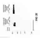 Fig. 38 - COMPOSITIONS AND METHODS OF TREATING DISEASE WITH FGFR FUSION PROTEINS