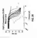 Fig. 41 - COMPOSITIONS AND METHODS OF TREATING DISEASE WITH FGFR FUSION PROTEINS
