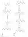 Fig. 12 - ApoE peptide dimers and uses thereof