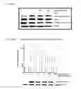 Fig. 13 - ApoE peptide dimers and uses thereof