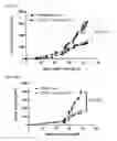Fig. 33 - ApoE peptide dimers and uses thereof