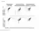 Fig. 07 - Means and methods for producing high affinity antibodies