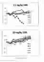 Fig. 10 - Neutralizing molecules to influenza viruses