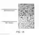 Fig. 02 - GLIOBLASTOMA MULTIFORME-REACTIVE ANTIBODIES AND METHODS OF USE THEREOF
