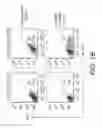 Fig. 03 - GLIOBLASTOMA MULTIFORME-REACTIVE ANTIBODIES AND METHODS OF USE THEREOF