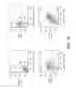 Fig. 06 - GLIOBLASTOMA MULTIFORME-REACTIVE ANTIBODIES AND METHODS OF USE THEREOF