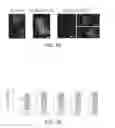 Fig. 12 - GLIOBLASTOMA MULTIFORME-REACTIVE ANTIBODIES AND METHODS OF USE THEREOF
