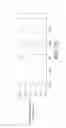 Fig. 15 - GLIOBLASTOMA MULTIFORME-REACTIVE ANTIBODIES AND METHODS OF USE THEREOF