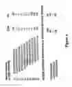 Fig. 07 - ANTIBODIES DIRECTED AGAINST AMYLOID-BETA PEPTIDE AND METHODS USING SAME