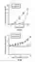 Fig. 10 - B7-H1, A NOVEL IMMUNOREGULATORY MOLECULE