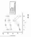 Fig. 25 - B7-H1, A NOVEL IMMUNOREGULATORY MOLECULE