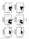 Fig. 07 - B7-H1, A NOVEL IMMUNOREGULATORY MOLECULE
