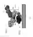 Fig. 04 - Anti-HER2 antibodies and immunoconjugates