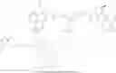 Fig. 101 - Anti-HER2 antibodies and immunoconjugates