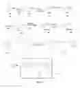 Fig. 12 - Anti-HER2 antibodies and immunoconjugates