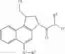 Fig. 126 - Anti-HER2 antibodies and immunoconjugates