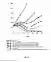 Fig. 22 - Anti-HER2 antibodies and immunoconjugates