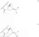 Fig. 31 - Anti-HER2 antibodies and immunoconjugates