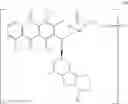 Fig. 44 - Anti-HER2 antibodies and immunoconjugates