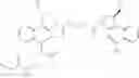 Fig. 54 - Anti-HER2 antibodies and immunoconjugates