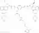 Fig. 72 - Anti-HER2 antibodies and immunoconjugates