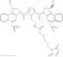 Fig. 77 - Anti-HER2 antibodies and immunoconjugates