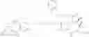 Fig. 90 - Anti-HER2 antibodies and immunoconjugates