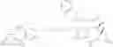 Fig. 91 - Anti-HER2 antibodies and immunoconjugates