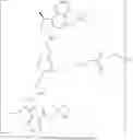 Fig. 97 - Anti-HER2 antibodies and immunoconjugates