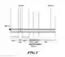 Fig. 02 - Antibodies to MASP-2