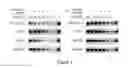 Fig. 02 - PC33718E