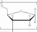 Fig. 12 - SUPERHYDROPHILIC AMPHIPHILIC COPOLYMERS AND PROCESSES FOR MAKING THE SAME