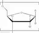 Fig. 28 - SUPERHYDROPHILIC AMPHIPHILIC COPOLYMERS AND PROCESSES FOR MAKING THE SAME