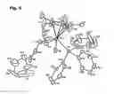 Fig. 06 - Conjugated diene polymer and method for producing same