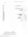 Fig. 13 - URETHANES, POLYMERS THEREOF, COATING COMPOSITIONS AND THEIR PRODUCTION FROM CYCLIC CARBONATES