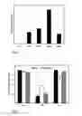 Fig. 02 - Process for the preparation of an object supporting a lipid bilayer