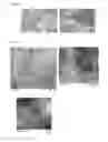 Fig. 04 - Method for producing polyamide composite materials containing silicon