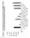 Fig. 03 - Chemically modified dendrimers