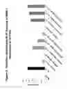 Fig. 05 - Chemically modified dendrimers